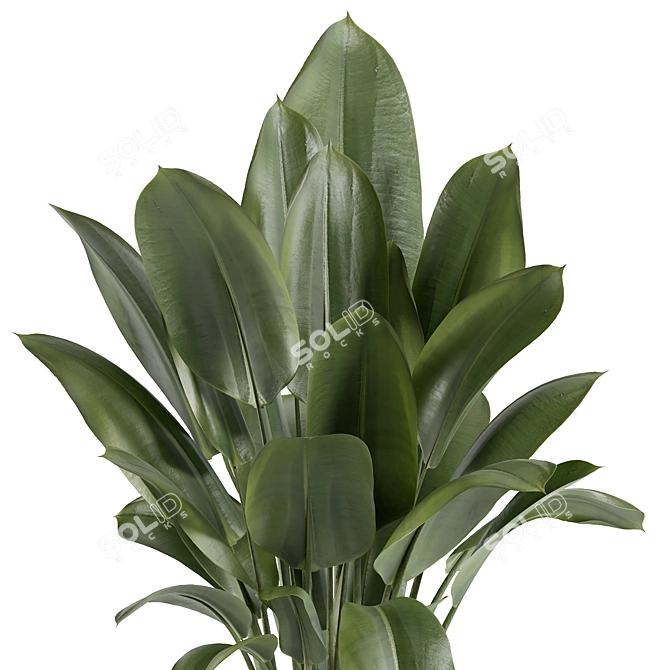 Custom 3D Plant Model (Obj) 3D model image 4