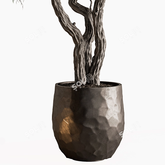  Arboreal Beauty in Pot 686 3D model image 4