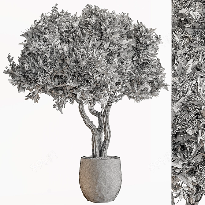  Arboreal Beauty in Pot 686 3D model image 5