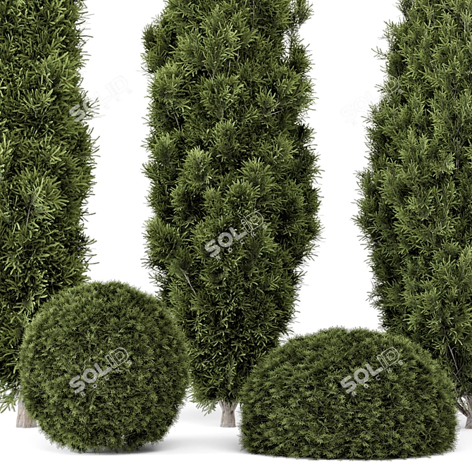 Pine Bushes Set for Outdoors 3D model image 2