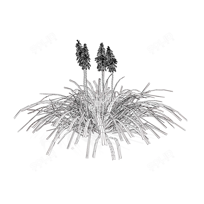 3D Red Hot Poker Collection 3D model image 6