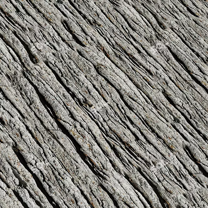 4K Seamless Bark Texture Set 3D model image 3