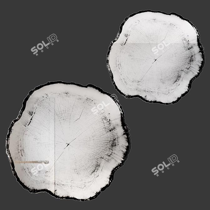 Arbo Dark Wall Mirror Set 3D model image 5