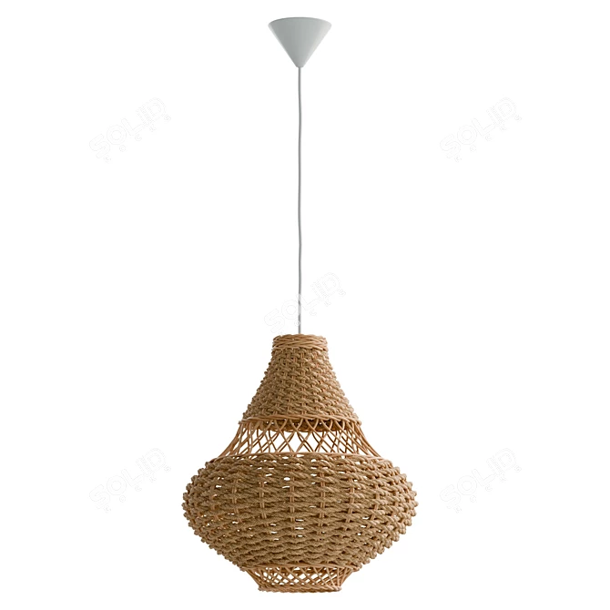 Rattan Pendant Light Fixture 3D model image 2