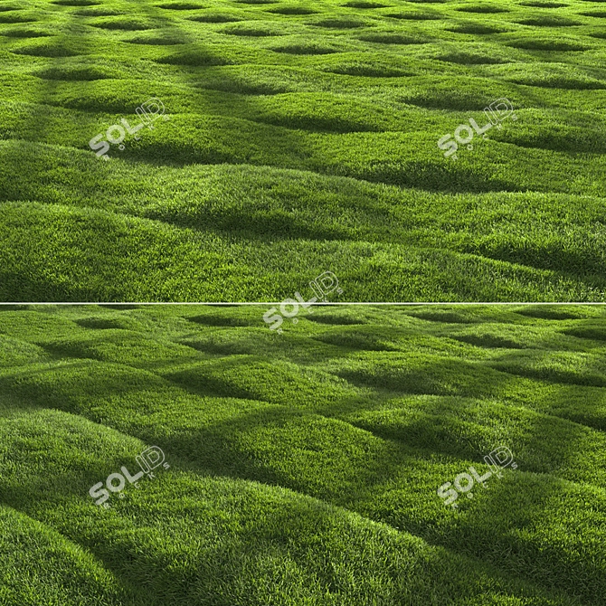 Grass Scatter 3D Model Kit 3D model image 2