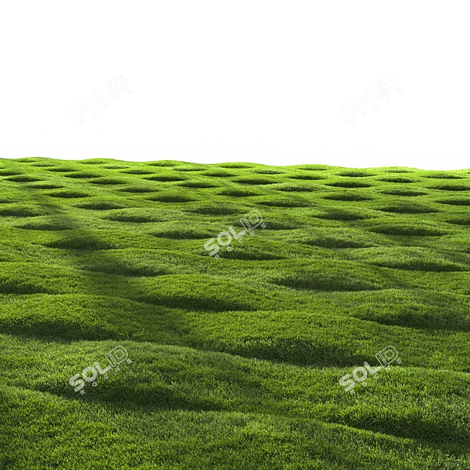 Grass Scatter 3D Model Kit 3D model image 4