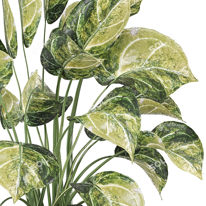 Greenery Set 1248 - 3D Models 3D model image 2
