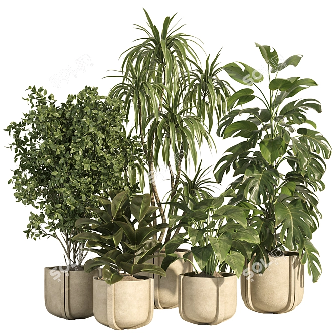 Concrete Pot Indoor Plant Set 3D model image 1