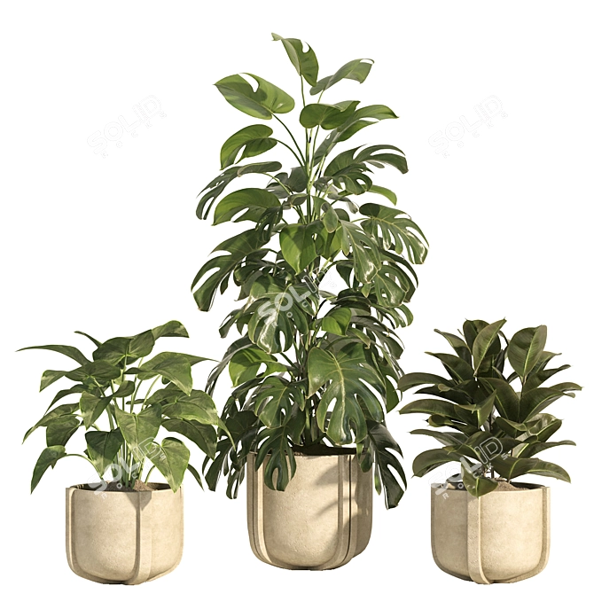 Concrete Pot Indoor Plant Set 3D model image 2