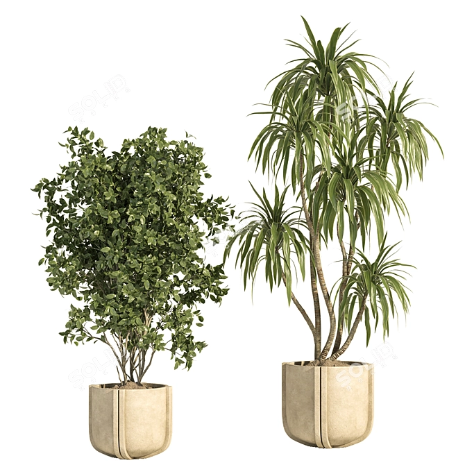 Concrete Pot Indoor Plant Set 3D model image 3