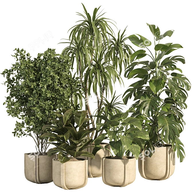 Concrete Pot Indoor Plant Set 3D model image 5