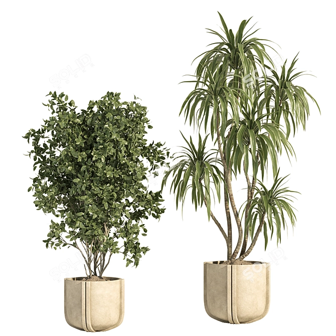 Concrete Pot Indoor Plant Set 3D model image 8