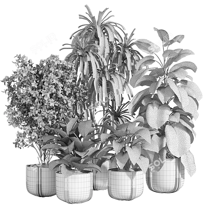 Concrete Pot Indoor Plant Set 3D model image 9