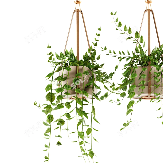 Hanging Ivy Plants Set25 Pot 3D model image 4