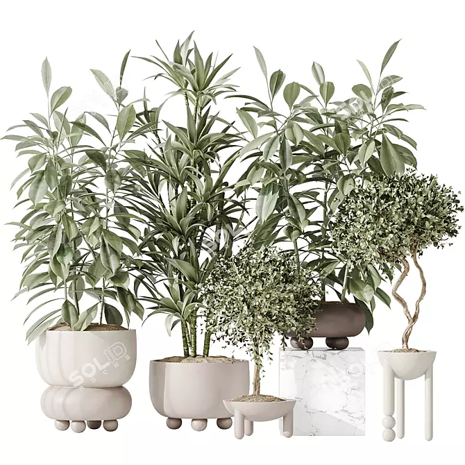 Variety Indoor Plant Set Collection 3D model image 1