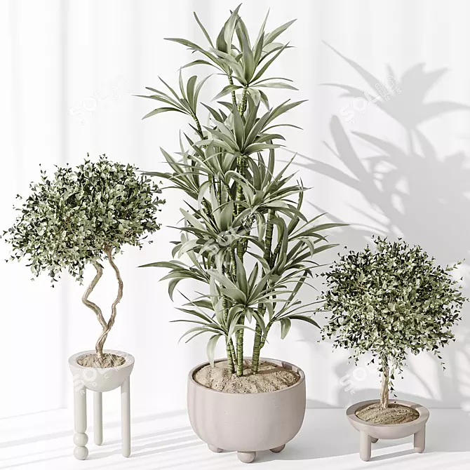 Variety Indoor Plant Set Collection 3D model image 4