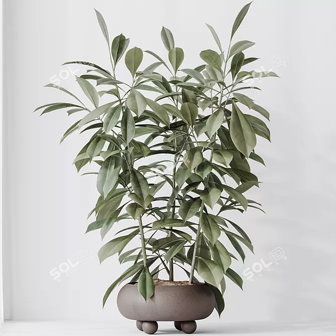 Variety Indoor Plant Set Collection 3D model image 5