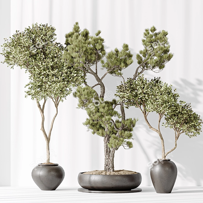 3D Indoor Plant Collection Set 3D model image 2