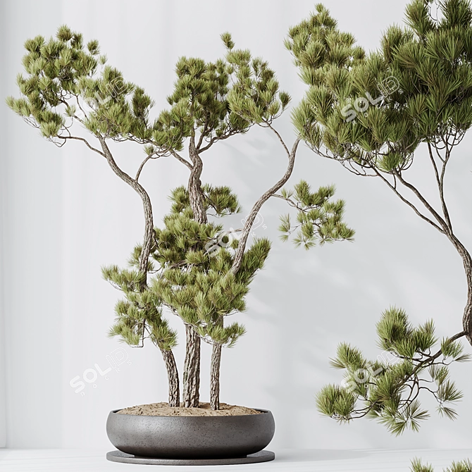 3D Indoor Plant Collection Set 3D model image 3
