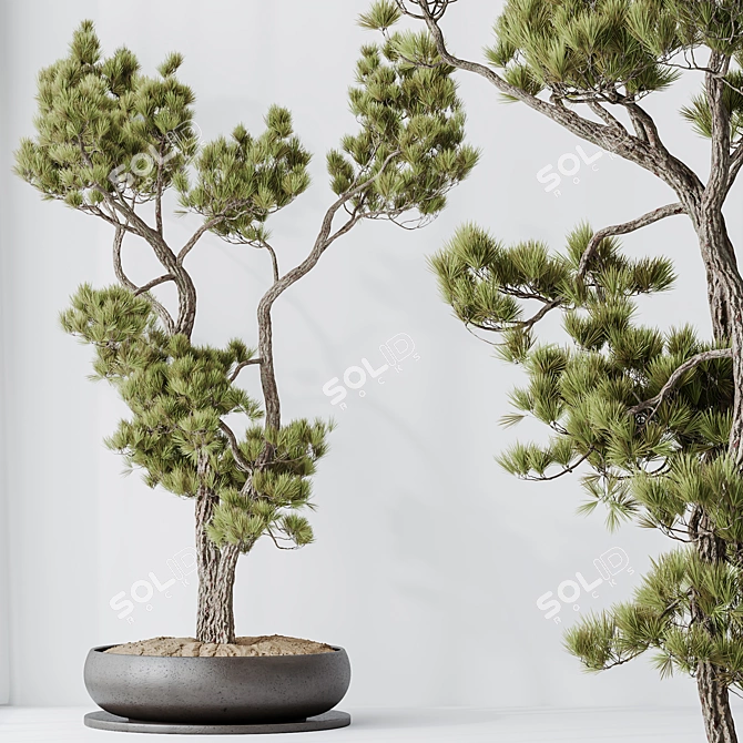 3D Indoor Plant Collection Set 3D model image 5
