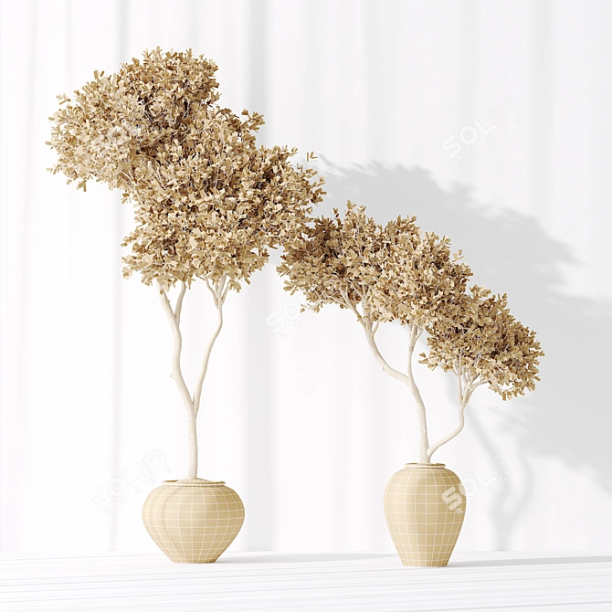 3D Indoor Plant Collection Set 3D model image 7