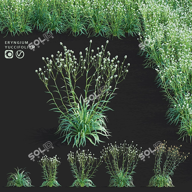 Yuccifolium Flower Collection | 3D Models 3D model image 1