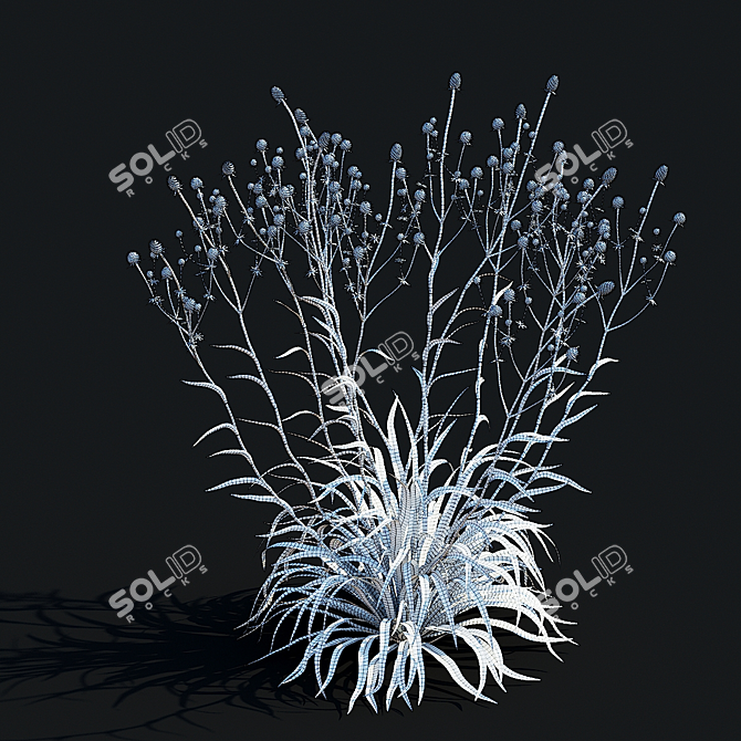 Yuccifolium Flower Collection | 3D Models 3D model image 4