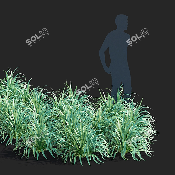 Yuccifolium Flower Collection | 3D Models 3D model image 5