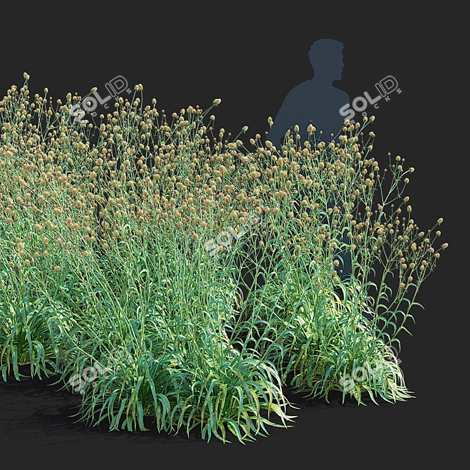 Yuccifolium Flower Collection | 3D Models 3D model image 7