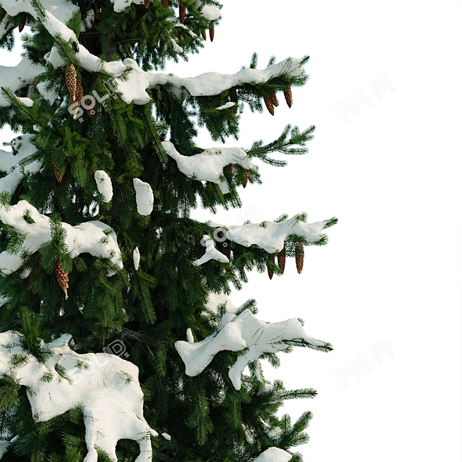 Winter Spruce Tree Display 7m 3D model image 3