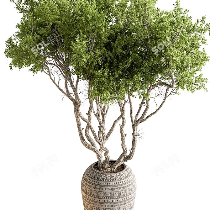 610 Outdoor Tree in Pot 3D model image 2