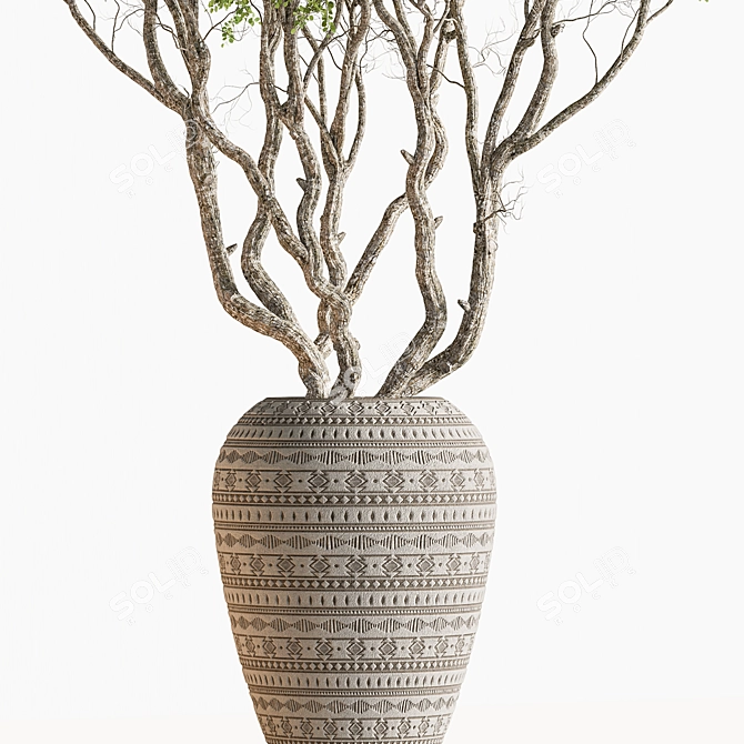 610 Outdoor Tree in Pot 3D model image 3