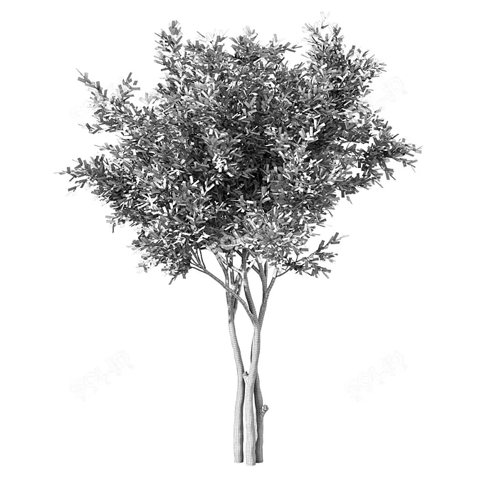 Tall Evergreen Tree Sculpture 3D model image 4