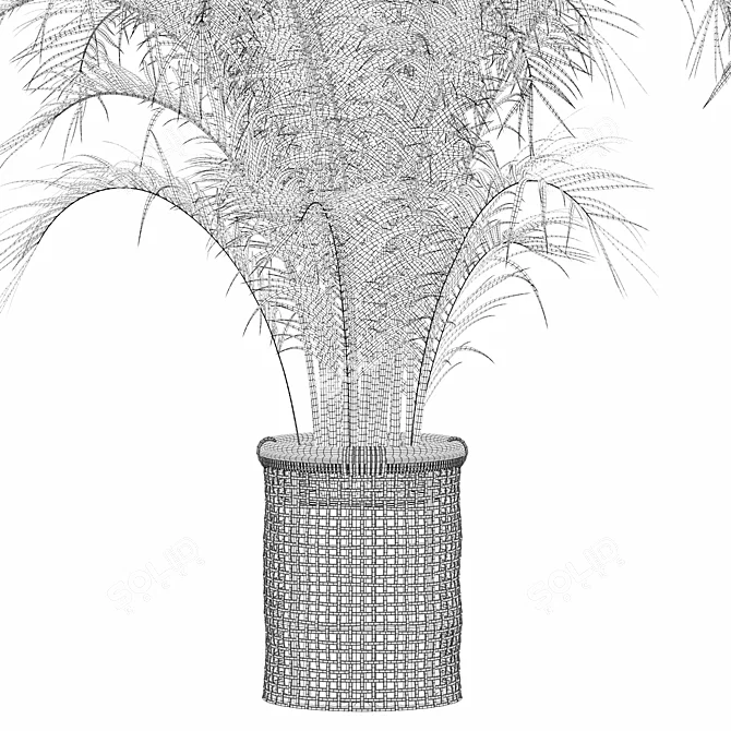 Tropical Beauty: Areca Palm Collection 3D model image 6