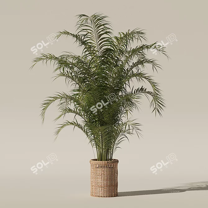 Tropical Beauty: Areca Palm Collection 3D model image 7