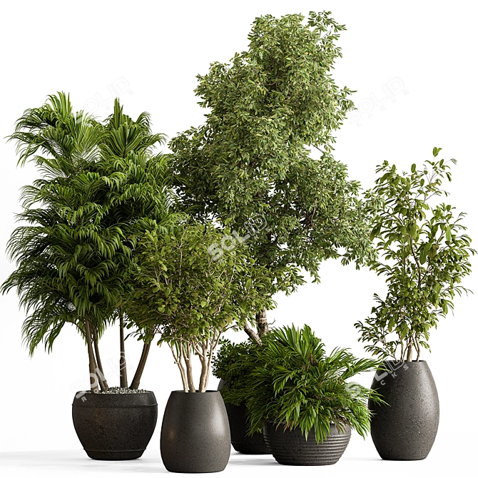 Luxury Foliage Tree Pot 668 3D model image 1