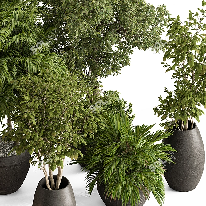 Luxury Foliage Tree Pot 668 3D model image 2