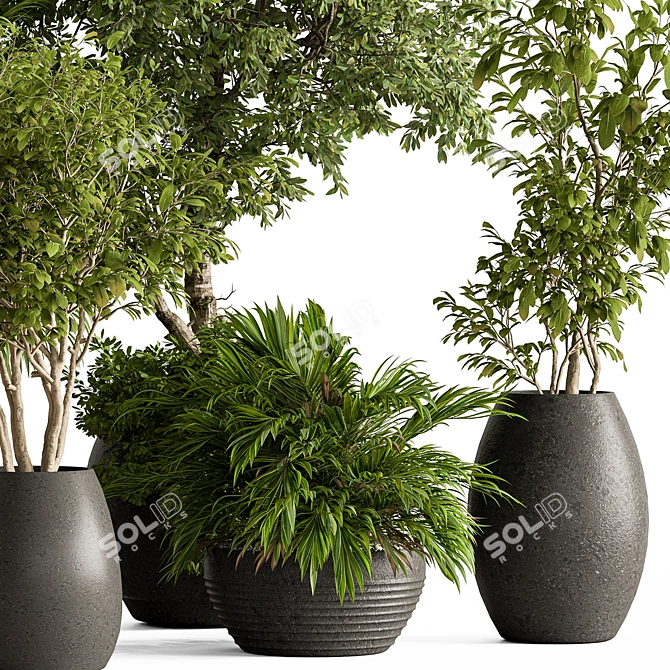 Luxury Foliage Tree Pot 668 3D model image 4