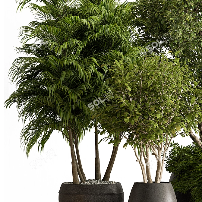 Luxury Foliage Tree Pot 668 3D model image 5