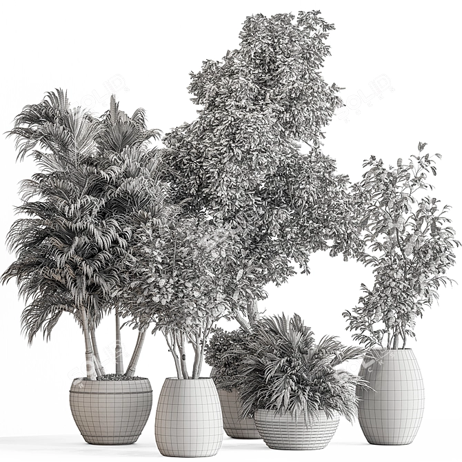 Luxury Foliage Tree Pot 668 3D model image 6