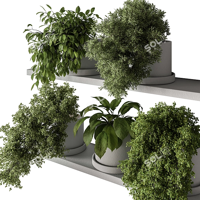 Leafy Oasis - Hanging Jungle Vibe 3D model image 2