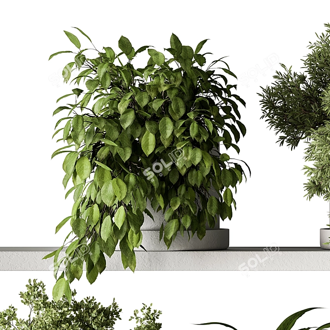 Leafy Oasis - Hanging Jungle Vibe 3D model image 5