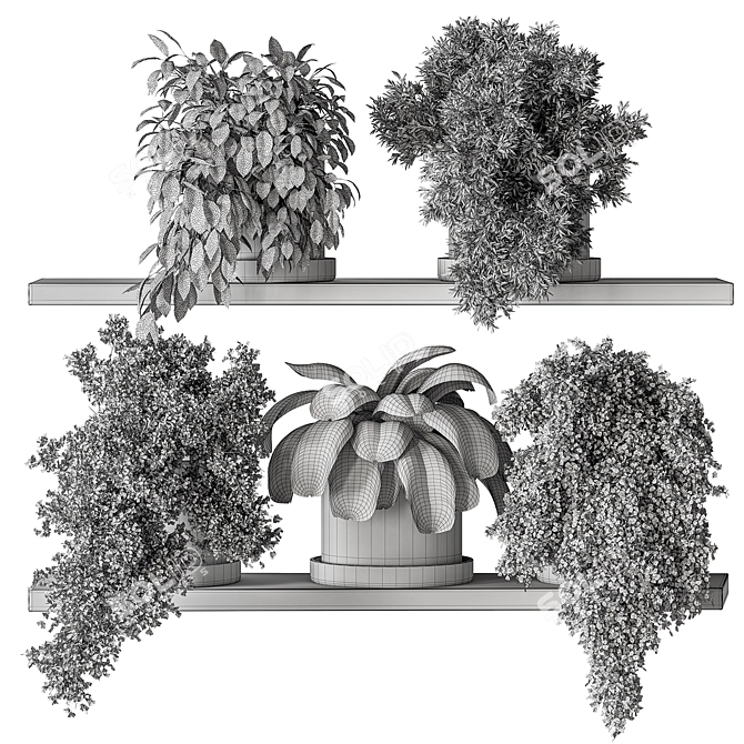 Leafy Oasis - Hanging Jungle Vibe 3D model image 7