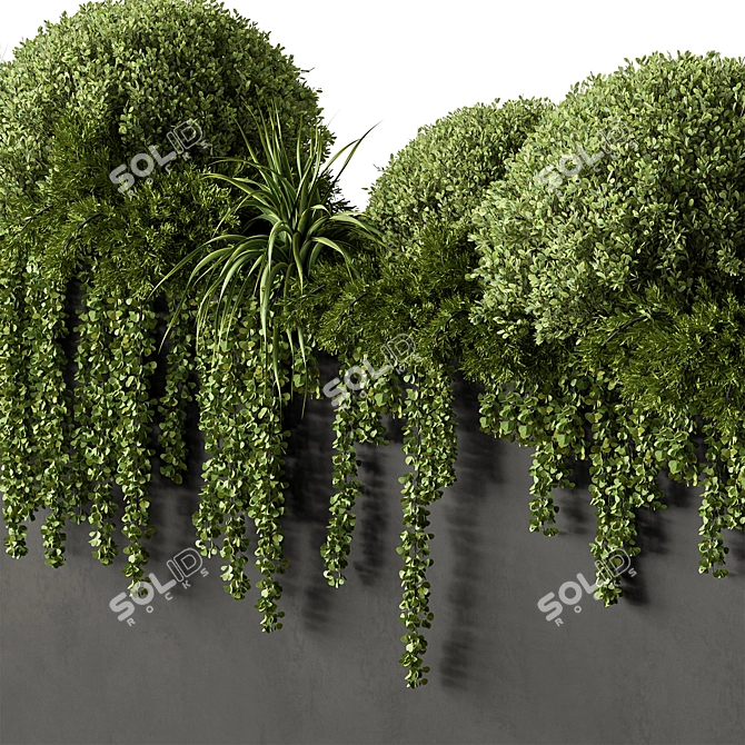 Outdoor Plant Box Greenery Set 3D model image 4