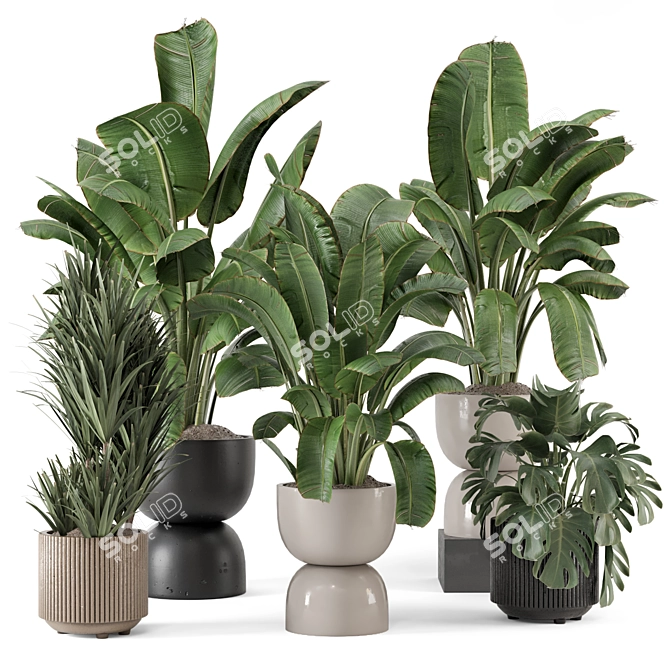 Modern Indoor Plants Set 2102 3D model image 1