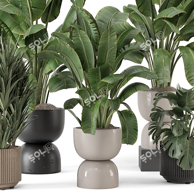 Modern Indoor Plants Set 2102 3D model image 2