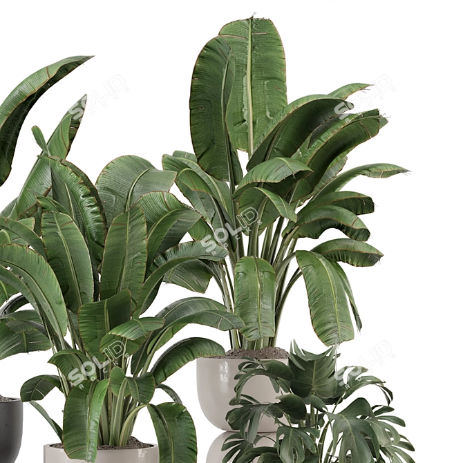 Modern Indoor Plants Set 2102 3D model image 3