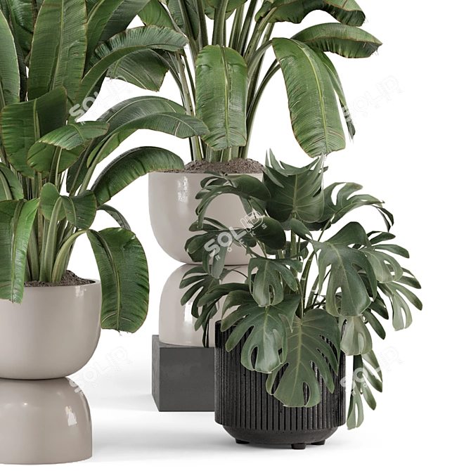 Modern Indoor Plants Set 2102 3D model image 4