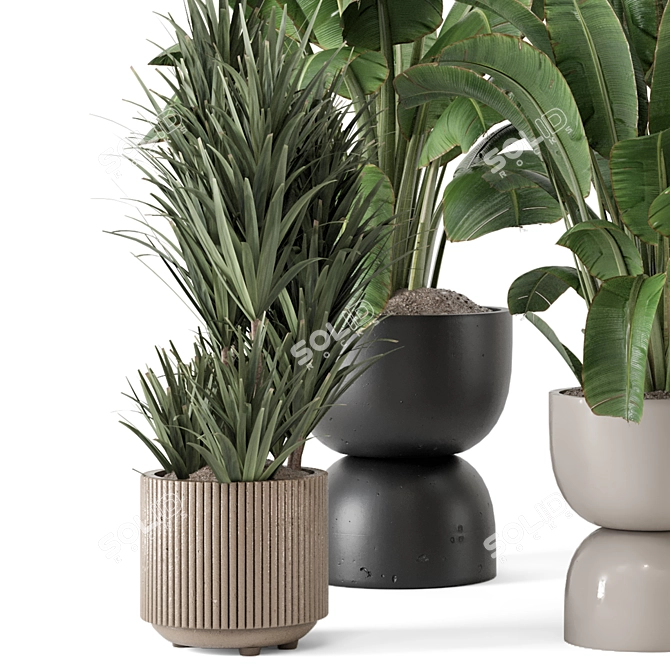 Modern Indoor Plants Set 2102 3D model image 5