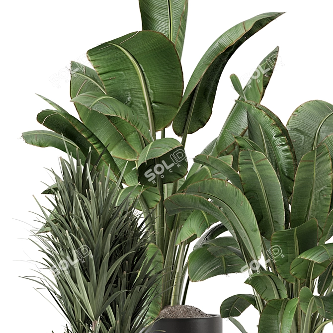 Modern Indoor Plants Set 2102 3D model image 6